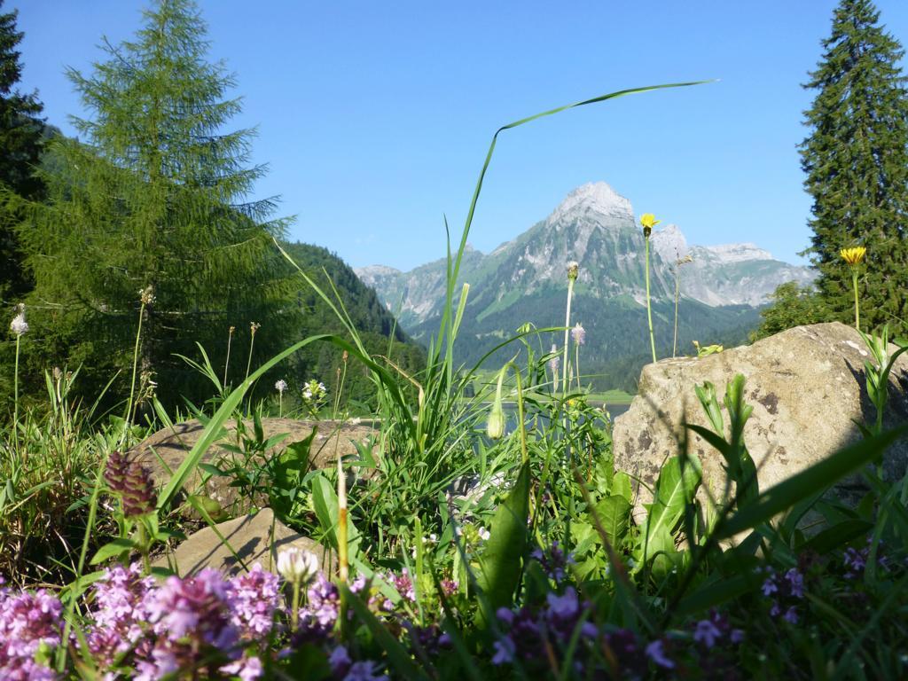 Berghotel Obersee Näfels Екстериор снимка