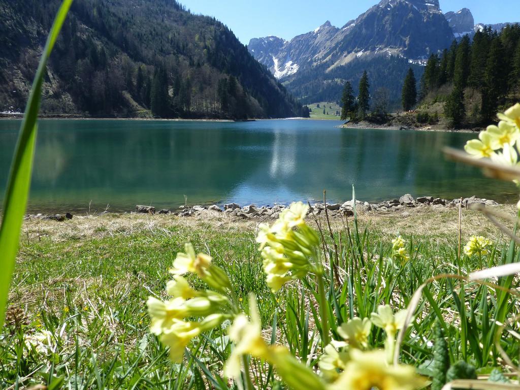 Berghotel Obersee Näfels Екстериор снимка