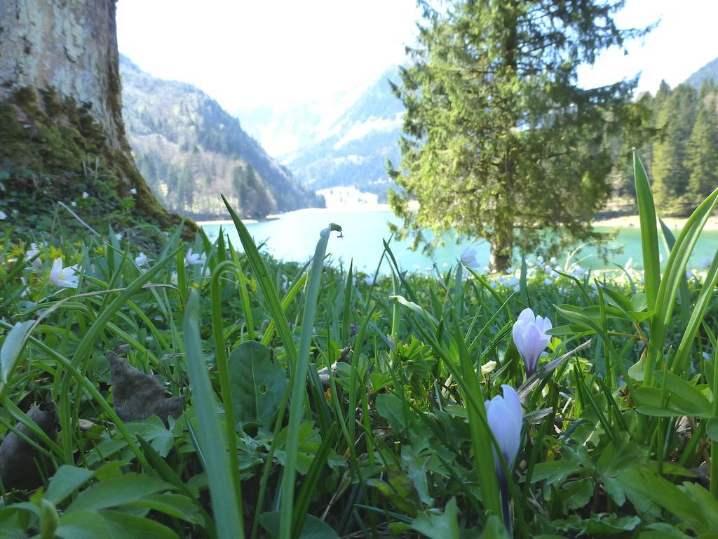 Berghotel Obersee Näfels Екстериор снимка