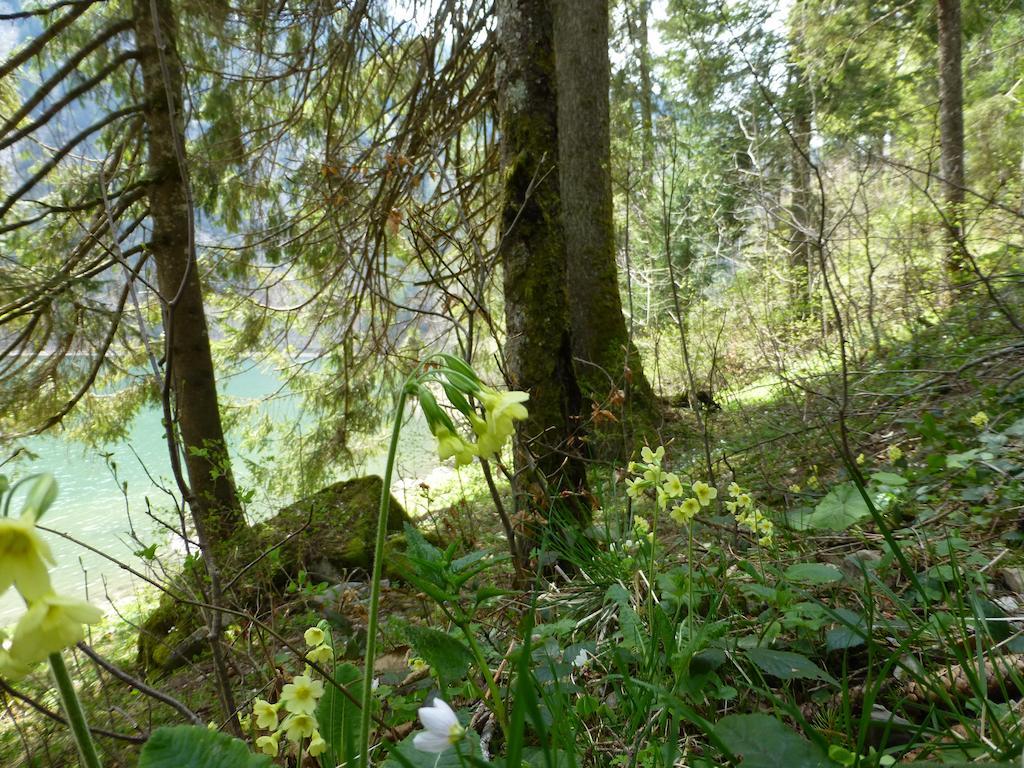 Berghotel Obersee Näfels Екстериор снимка