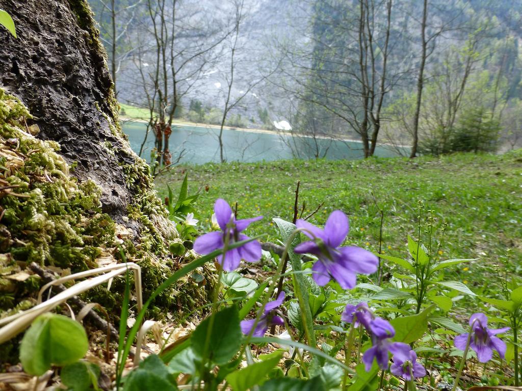 Berghotel Obersee Näfels Екстериор снимка