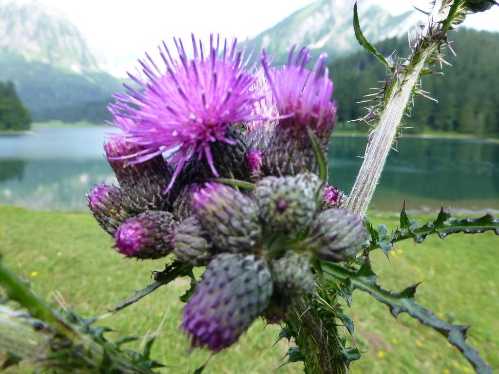 Berghotel Obersee Näfels Екстериор снимка