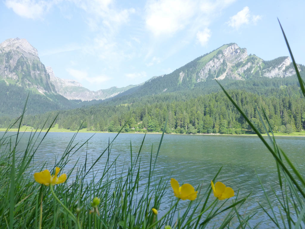 Berghotel Obersee Näfels Екстериор снимка